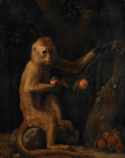 Una scimmia da George Stubbs